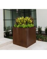 20 inch tall by 20 inch square Cor-Ten steel planter.